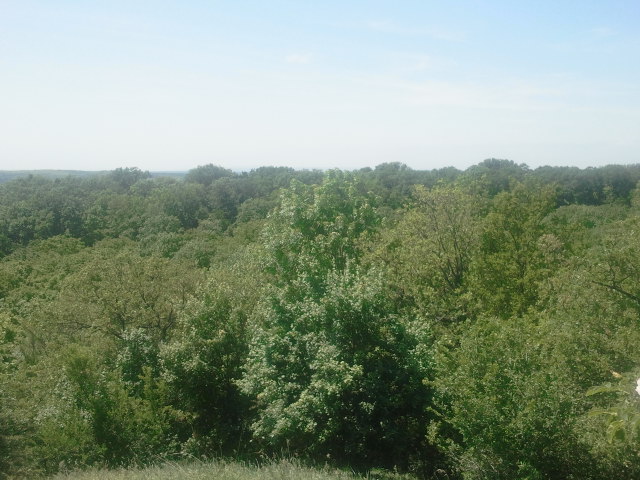 2017-05-20 13.39.37.jpg